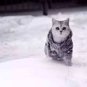 仙逆在线观看视频完整版75集
